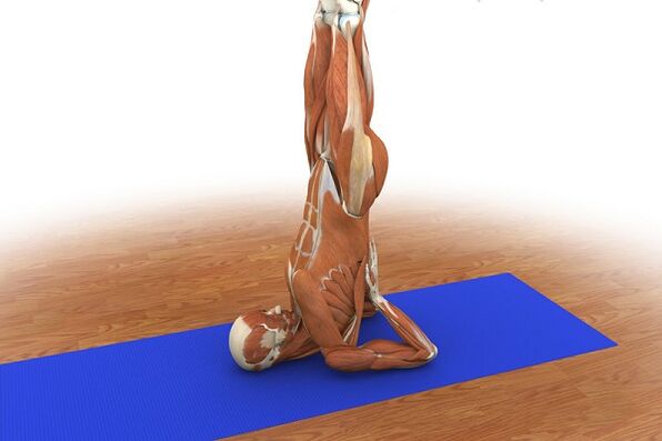 Вправа для потенції «Берізка»